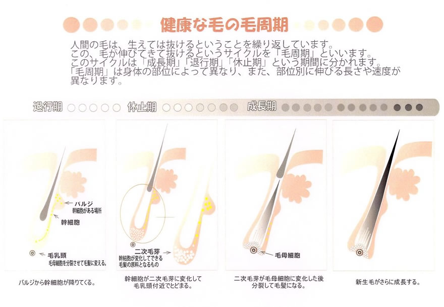 禁忌事項・注意事項について